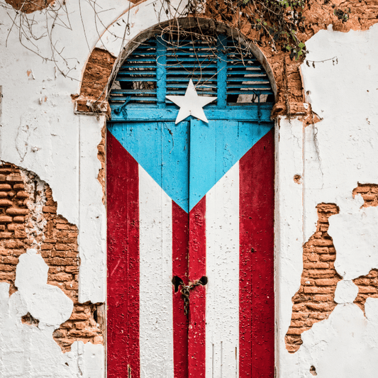 Las Mejores Opciones de Comida Boricua con Toda la Tradición en PideUva
